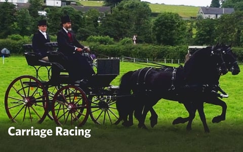 carriage-racing-trips-to-ireland-with-ireland-dmc-and-group-tour-operator